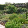 PICT0995.jpg