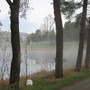 clay lined farm pond...early spring..early morning.
