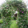 Captured_2007-6-9_00006