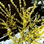 Pict0540