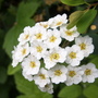 Winter_2006-07_117