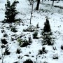 Pict0536