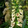 Digitalis (Digitalis purpurea (Common foxglove))