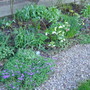 Outside_008