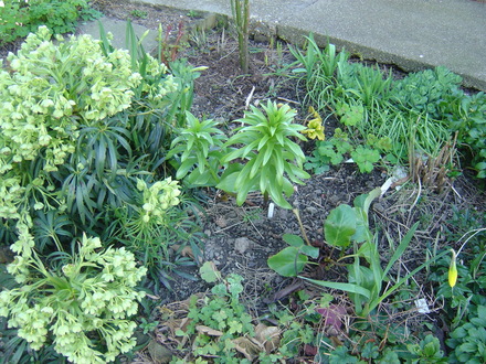 outside_009.jpg