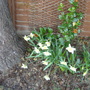 Outside_010