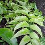 March_2008_014
