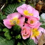 Pict0568
