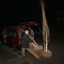 Moving trees in the dark