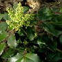 Pict0582