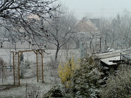 March 26th View  of back garden from terrace at lunchtime