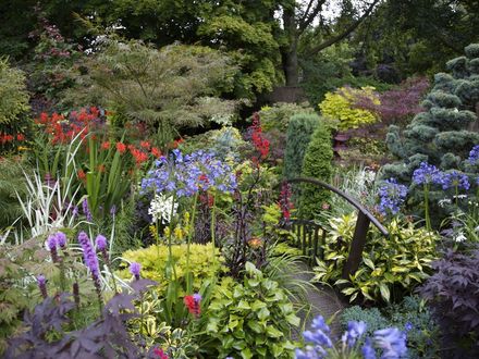 Lower Garden Summer