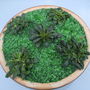 "Wzard of Oz" Emerald City planter