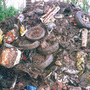 Gh_rubbish_dec