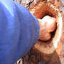 Pili_hole_hand_all_the_way_in_2-12-04_med