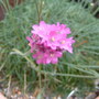 Dscf0001