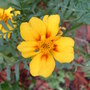 Dscf0028