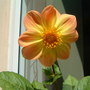 Dscf0192