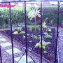 The side garden finished
