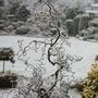 Frosty_morning_majesty