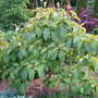 Dscf2007