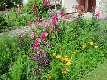 More of the front garden.