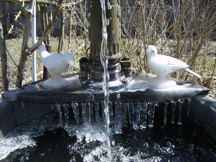 Cold Icy Morning