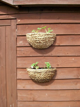 Brightening up a drag shed wall