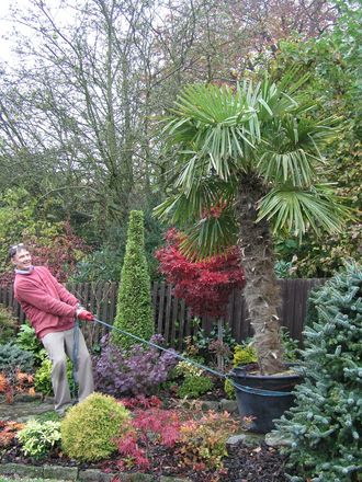 Blog 10.  Heave!