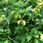 Captured_2005-12-31_00000