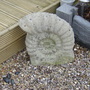 Garden_31