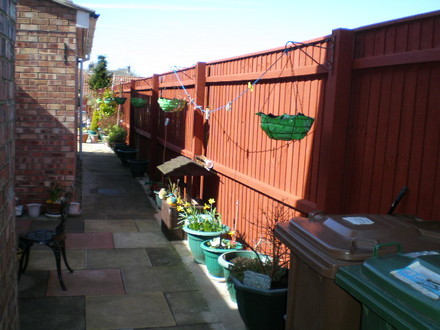 GREEN HANGING BASKETS