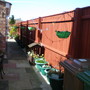 GREEN HANGING BASKETS