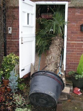 Blog 10. palm down garage steps