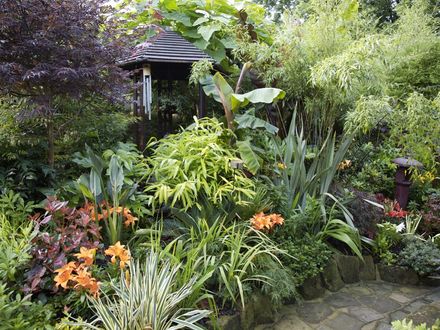 Blog 11. Jungle