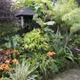 Jungle_3