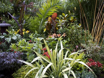 Blog 11. Jungle