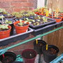 31st_mar_08_020