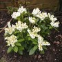 31st_mar_08_019