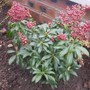 31st_mar_08_021