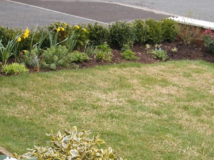 FRONT GARDEN