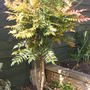 31st_mar_08_024