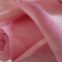 DSC02740.jpg