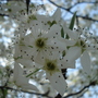DSC02788.jpg