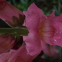 2006_0824Image0358.jpg