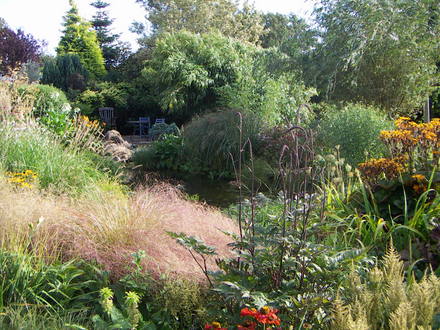 general view in garden