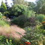 Pict0028