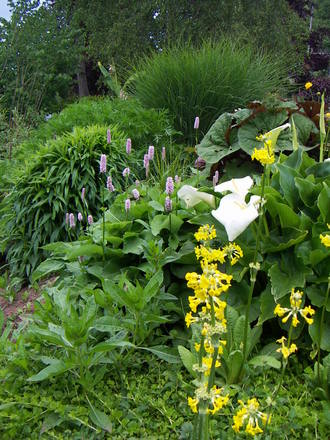 by pond