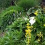 Pict0017