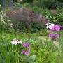 Pict0019